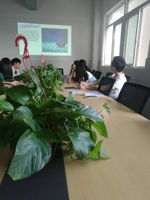 江苏景宁信息技术 专业信息技术咨询服务的领航者